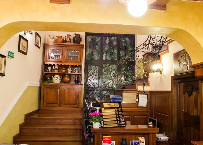 게스트하우스 Crama Haiducilor