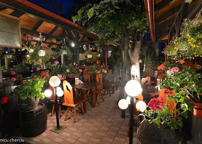 Crama Haiducilor Pensión 4*